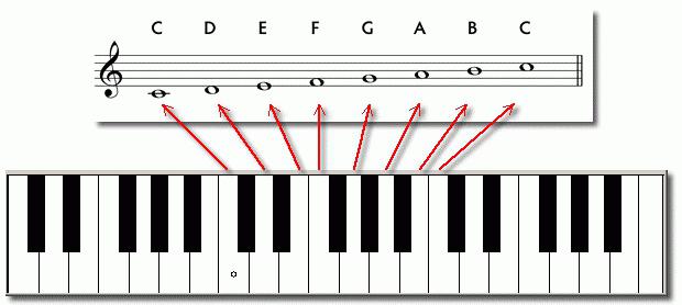 Wie viele weiße Tasten hat das Klavier?