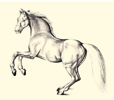 Wie zeichne ein schönes Pferd schlüpfen