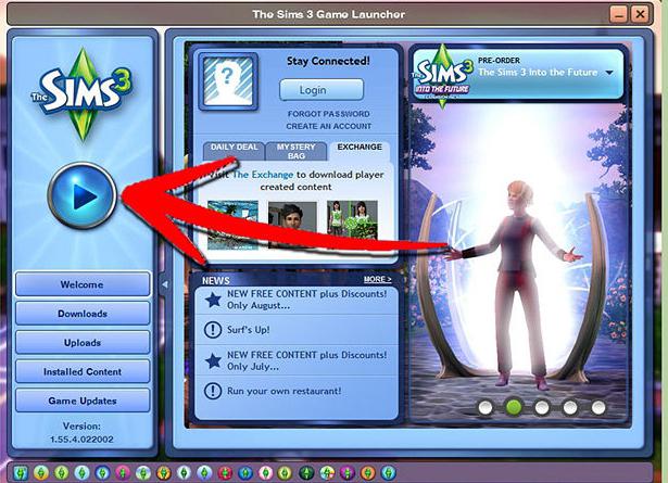 wie man Sims aktualisiert 3