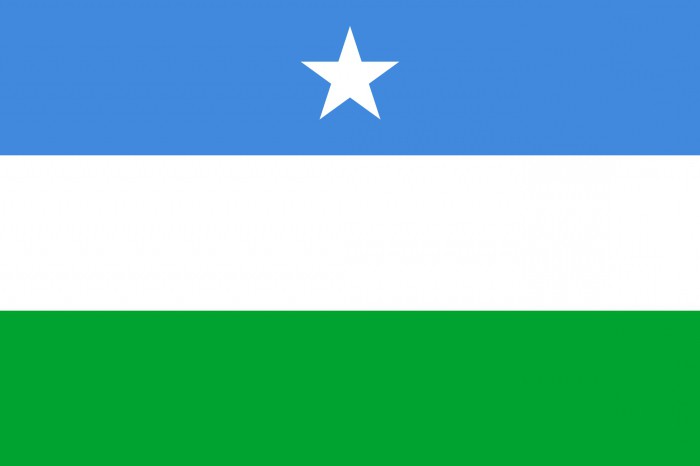 Wie sieht die Flagge Somalias aus?